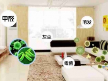 網上的除甲醛好辦法真的有效嗎？原理是什么